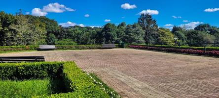 botanico giardino nel meridionale brasile foto