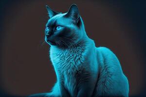 blu gatto isolato, Marrone sfondo, ai generato foto
