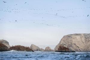 isola di ballestas in perù foto