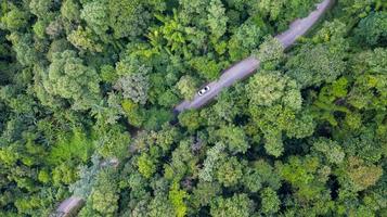 vista dall'alto aerea auto guida attraverso la foresta sulla strada di campagna, vista da drone foto