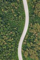 vista aerea superiore della strada nella foresta, vista da drone foto