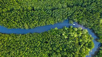 vista aerea dall'alto della barca sul fiume nella conservazione della foresta di mangrovie in Thailandia foto