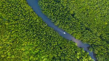 vista aerea dall'alto della barca sul fiume nella conservazione della foresta di mangrovie in Thailandia foto