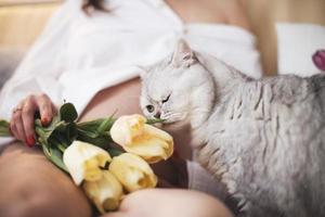 incinta donna con un' gatto. gatto è odorare il fiori. Scozzese dritto gatto foto