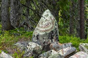pietre ricoperte di licheni foto