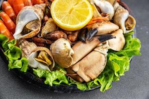 frutti di mare piatto frutta de mer gamberetto, Granchio artiglio, mollusco, rapano, trombettista mollusco pasto cibo merenda su il tavolo copia spazio cibo sfondo rustico superiore Visualizza foto