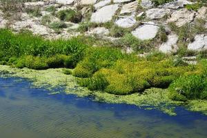 Riva del fiume con verde erba e pietre foto