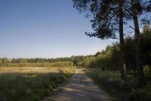 naturale tranquillo paesaggio con strada, verde foresta e blu cielo foto