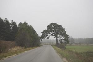 pittoresco autunno paesaggi a partire dal polacco podlasie su un' nuvoloso novembre giorno foto