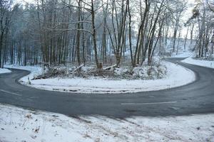 forcina curva nel inverno foresta con neve foto