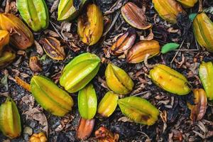 stella di frutta caduta dall'albero a terra. foto