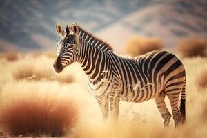 pianure zebra, equus quaga, equus burchelli, Comune zebra. neurale Rete ai generato foto