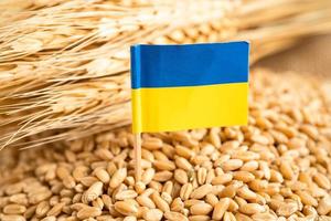 chicchi di grano con bandiera dell'ucraina, esportazione commerciale e concetto di economia. foto