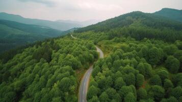 aereo superiore Visualizza di asfalto strada attraverso verde foresta, salutare pioggia foresta, ambiente, Salute, verde economia, Visualizza di natura ecosistema per Salva terra con generativo ai. foto