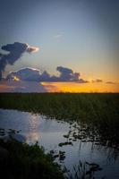tramonto al di sopra di il Everglades foto