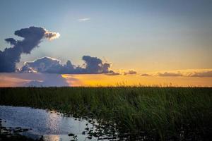 tramonto al di sopra di il Everglades foto