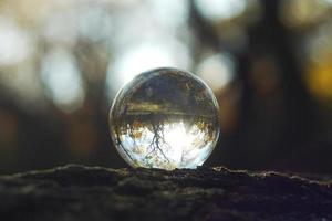 una palla lente in una foresta d'autunno foto
