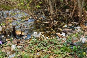 plastica rifiuto nel il acqua foresta acqua inquinamento plastica rifiuto ecologia globale riscaldamento foto