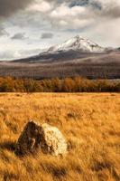 autunno nel parco nazionale del ghiacciaio montana usa foto