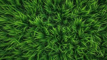 ai generativo. ai generato. concetto di foto di verde erba. sfondo modello agricoltura. può essere Usato per grafico design. grafico arte
