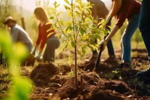 piantare alberi per sostenibile cibo produzione creato con generativo ai tecnologia. foto