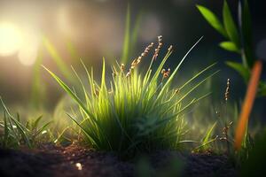sorprendente terra erba a giardino nel mattina, ecologia e mondo sostenibile ambiente concetto. generativo ai foto