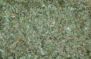 sfondo di asciutto le foglie di medicinale pianta eucalipto l. superiore Visualizza. asciutto fragrante schiacciato le foglie. foto