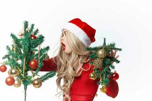 allegro donna indossare Santa Claus costume tradizione decorazione vacanza leggero sfondo foto