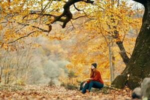 donna con zaino nel autunno foresta seduta vicino albero paesaggio fresco aria parco foto