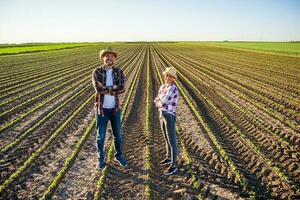 contadino coppia su loro terra e piantagione foto