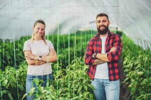 biologico serra attività commerciale. famiglia agricoltori siamo in piedi nel loro verdura giardino e sorridente. foto