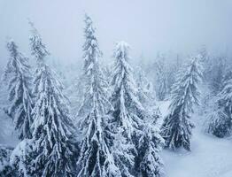 volo al di sopra di tempesta di neve nel un' nevoso montagna conifero foresta, scomodo scortese inverno tempo atmosferico. foto