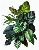 tropicale le foglie fogliame pianta cespuglio floreale preparativi creato con generativo ai foto