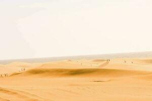 panoramico sabbia dune Visualizza foto