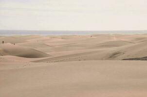 dune di sabbia sulla spiaggia foto