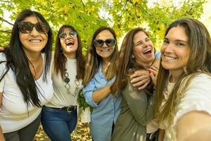 un' gruppo di cinque vivace donne siamo assunzione un' autoscatto su un' soleggiato giorno con un' frondoso albero nel il sfondo. foto