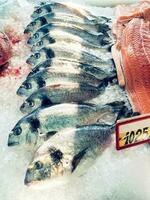 fresco pesce su il mercato foto