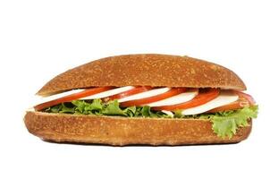 salutare Mozzarella Sandwich foto