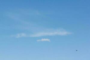 leggero nuvole nel il blu cielo con un' uccello. leggero blu sfondo nel il aria. foto