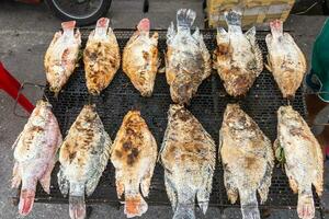 pesce salato e ripieno in vendita nel nord della Thailandia foto