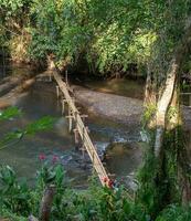 bambù ponte al di sopra di fiume - visualizzazioni fra mae hong figlio e bandire rak tailandese foto