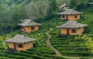 bandire rak tailandese Cinese villaggio su confine di settentrionale Tailandia e Myanmar foto