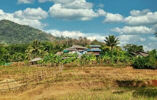 visualizzazioni fra mae hong figlio e bandire rak tailandese foto