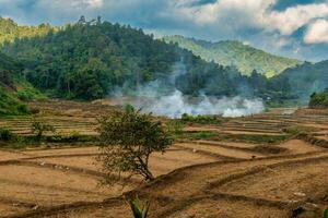 agricoltori ardente i campi nel settentrionale Tailandia foto