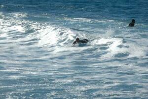 giovane atleti praticando il acqua sport di fare surf foto