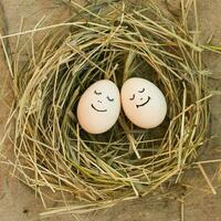 contento coppia nel amore. uova. foto