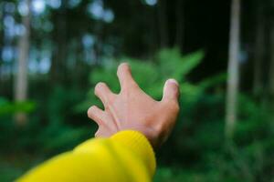 esploratore maschio mano nel un' verde piovoso foresta. foto