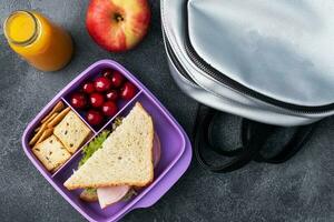 delizioso salutare Sandwich nel un' pranzo scatola, biscotti e ciliegie. prendere pranzo con voi per scuola o il ufficio. succo nel un' bottiglia e un Mela. foto