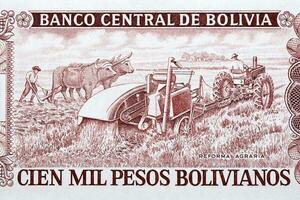 agricolo scena a partire dal vecchio boliviano i soldi foto