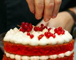 rosso velluto torta preparazione. foto